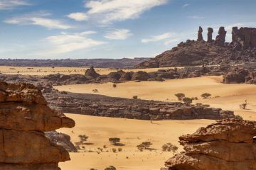 كرفانات تشاد للبيع