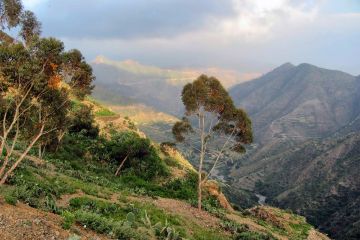 كرفانات إريتريا للبيع