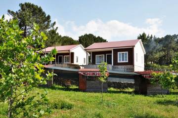 Каркасные дома из Литвы