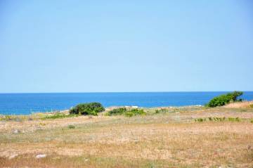 Каркасные дома из Литвы