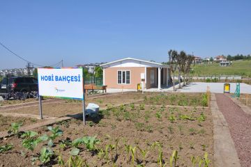 jardim-de-passatempos-em-dereagzi-25109_4.jpg